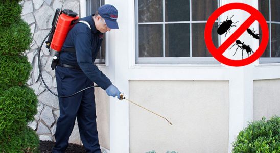 Olur Kene İlaçlama böcek ilaçlama ve haşere kontrolü — ilaclama-tr.com